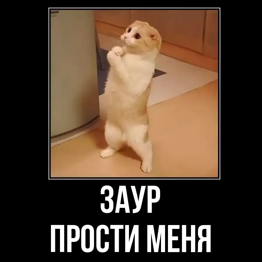 ПРОСТИ МЕНЯ ЗАУР