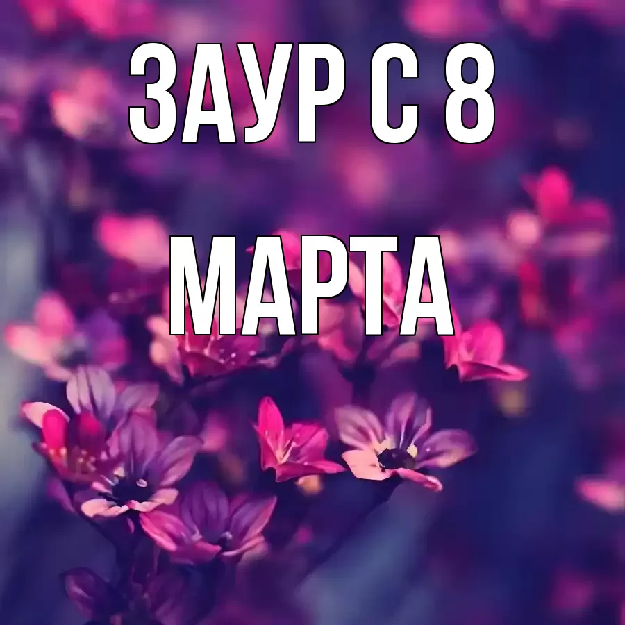 ОТКРЫТКА ЗАУР