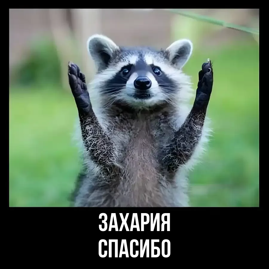 ОТКРЫТКА ЗАХАРИЯ