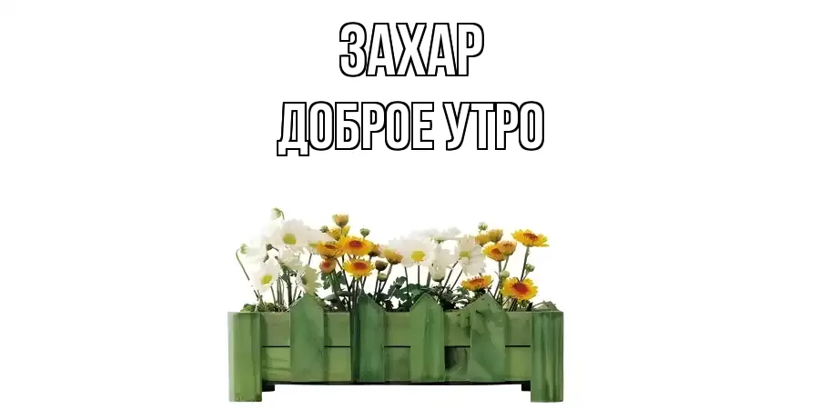ДОБРОЕ УТРО ЗАХАР