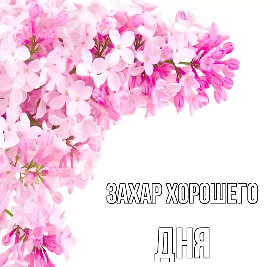 ОТКРЫТКА ЗАХАР