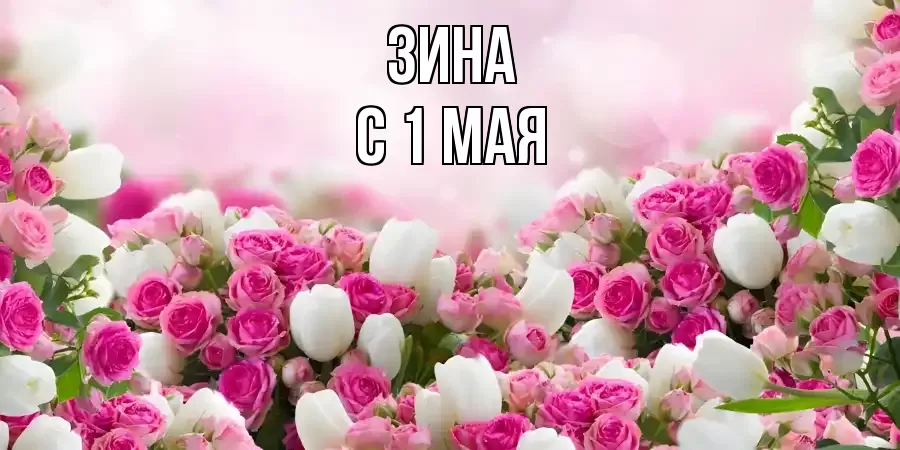 ОТКРЫТКА ЗИНА