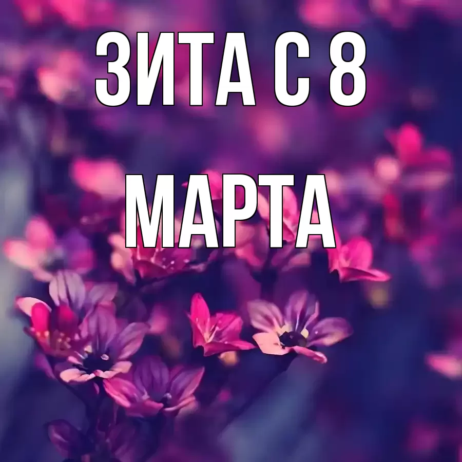 ОТКРЫТКА ЗИТА