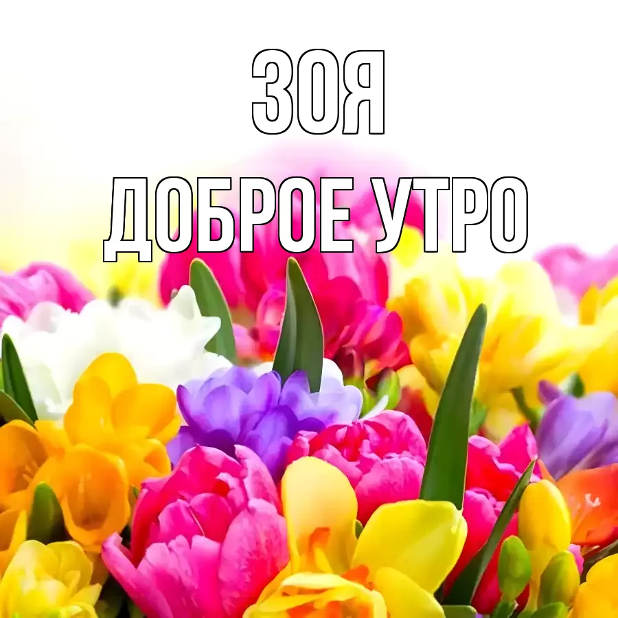 ДОБРОЕ УТРО ЗОЯ