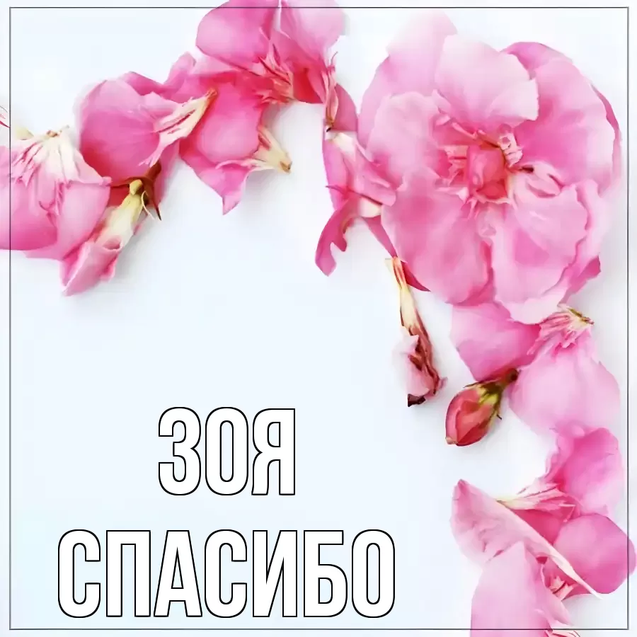 ОТКРЫТКА ЗОЯ