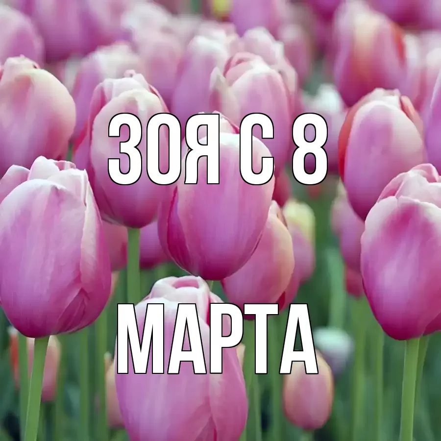 ОТКРЫТКА ЗОЯ