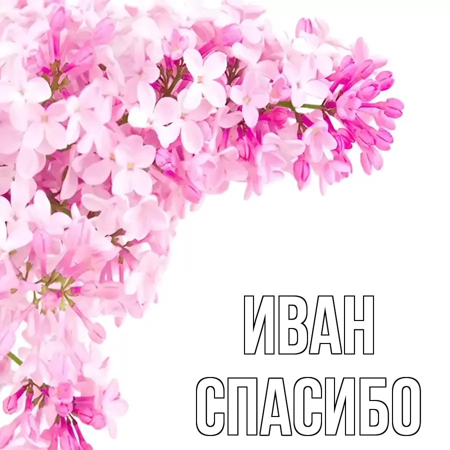 ОТКРЫТКА ИВАН