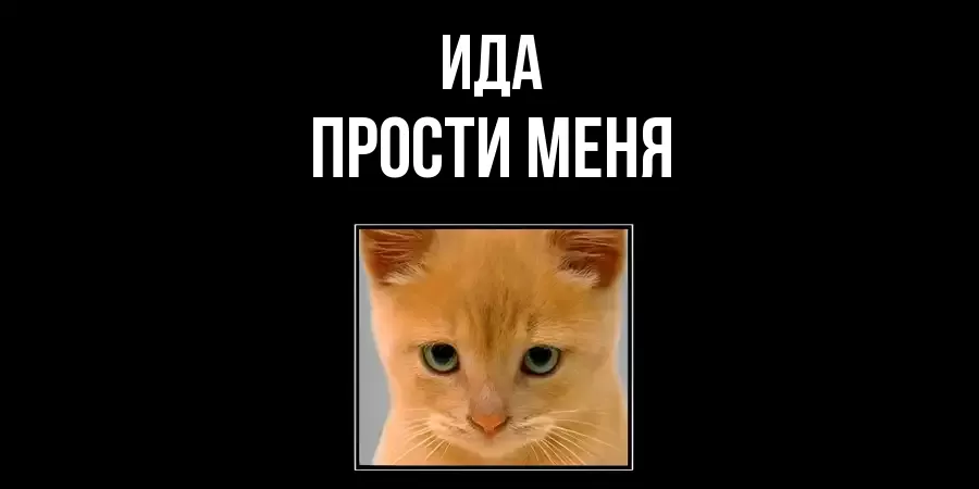 ПРОСТИ МЕНЯ ИДА