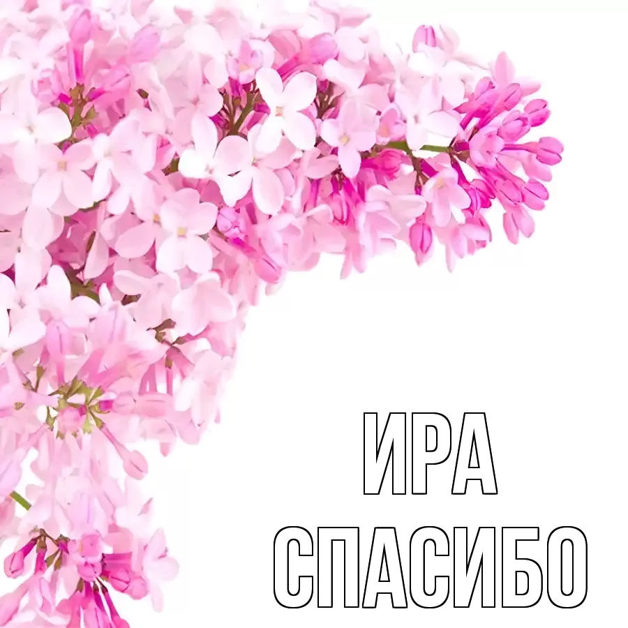 ОТКРЫТКА ИРА