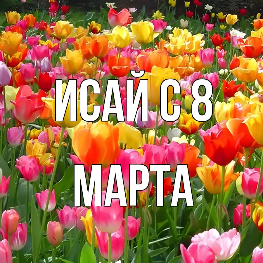 ОТКРЫТКА ИСАЙ