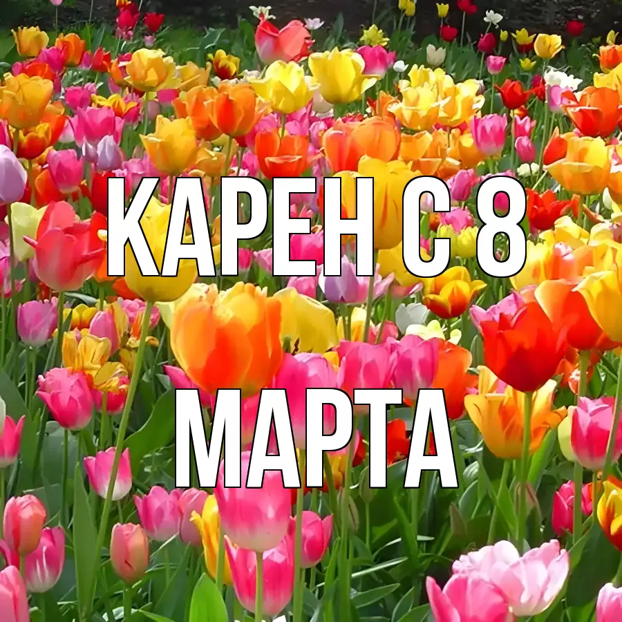 ОТКРЫТКА КАРЕН