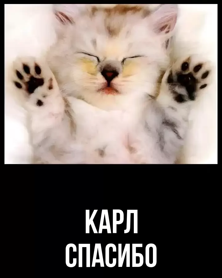 ОТКРЫТКА КАРЛ