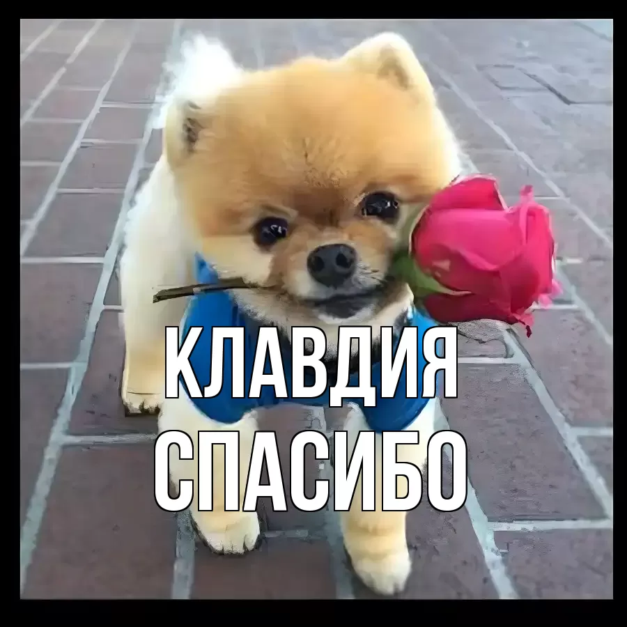 ОТКРЫТКА КЛАВДИЯ