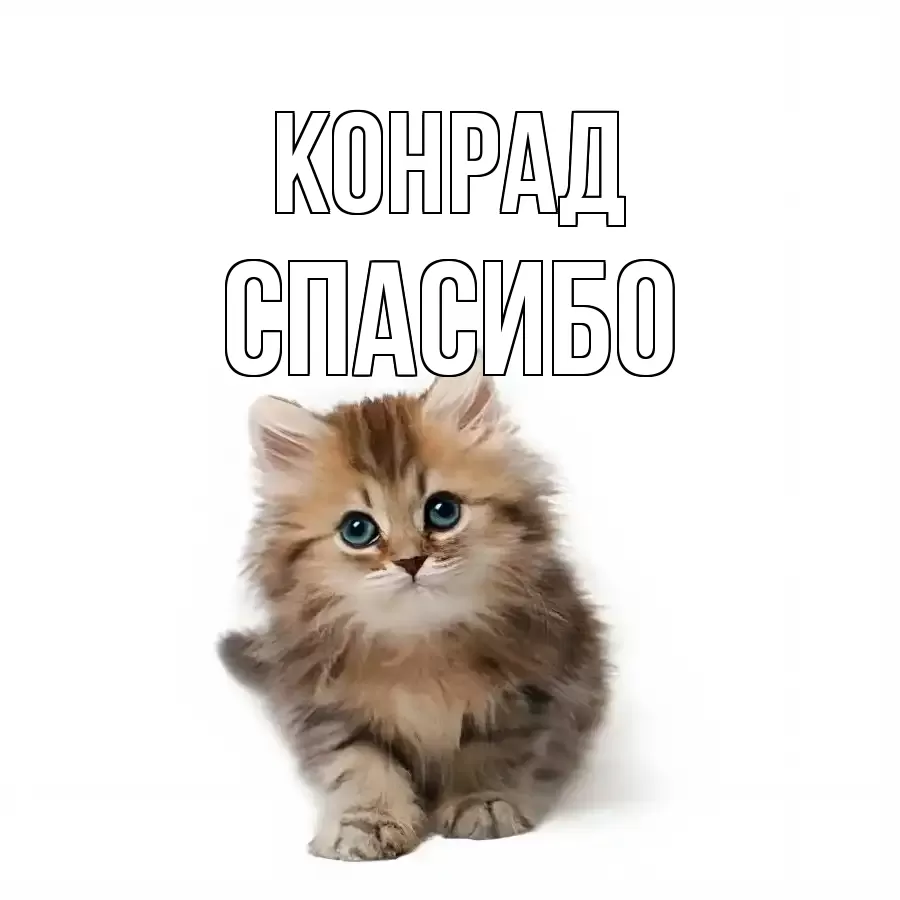 ОТКРЫТКА КОНРАД