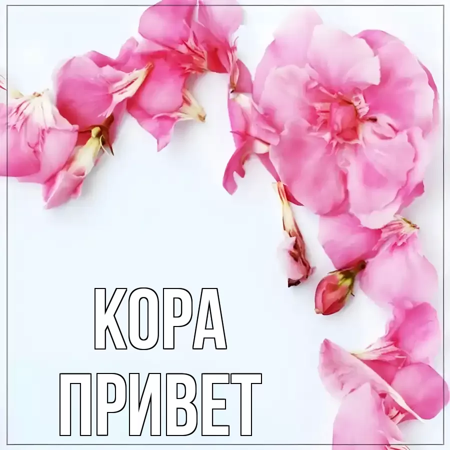 ОТКРЫТКА КОРА