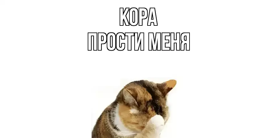 ПРОСТИ МЕНЯ КОРА