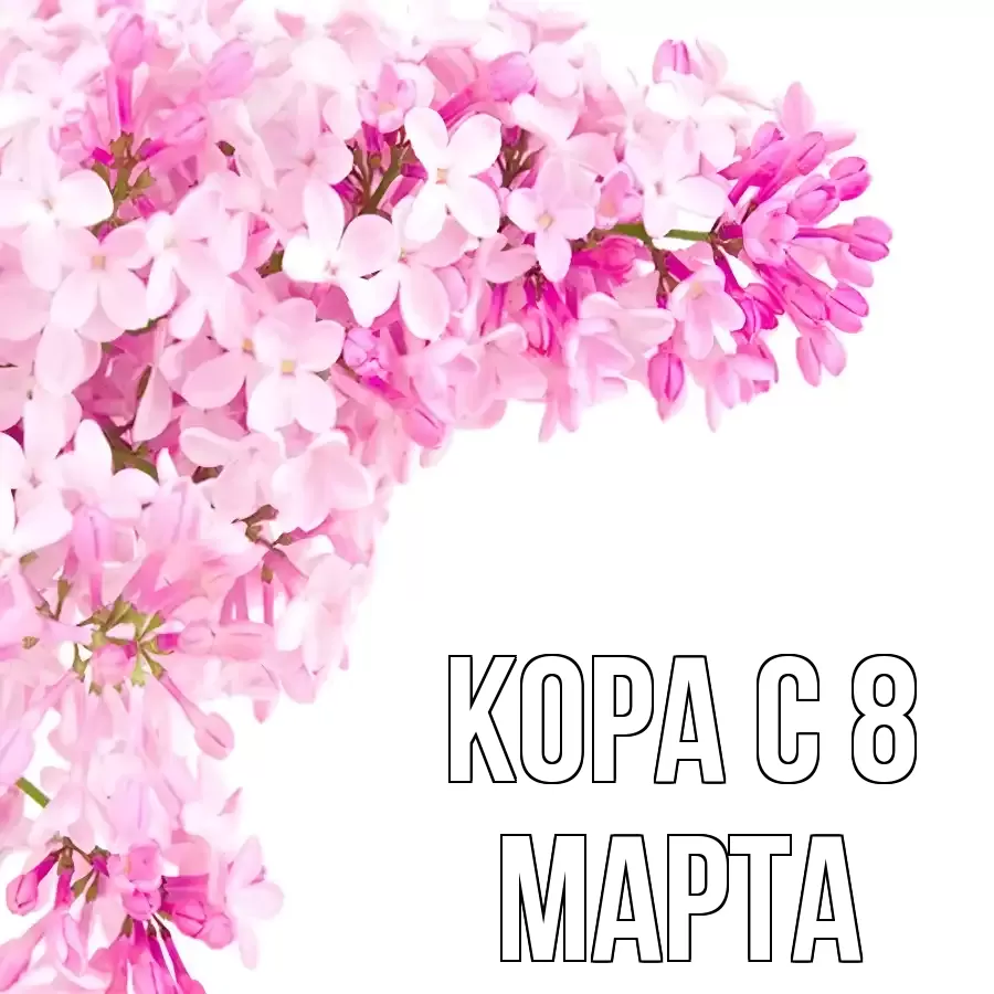 ОТКРЫТКА КОРА