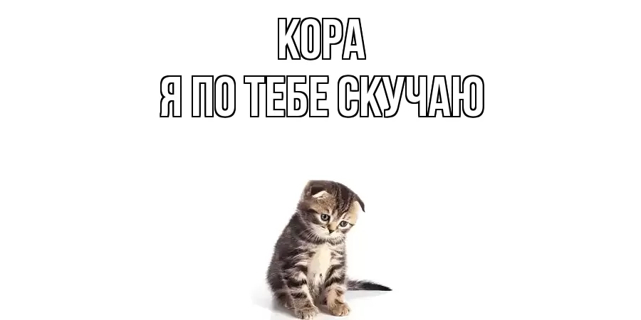 КОРА Я ПО ТЕБЕ СКУЧАЮ