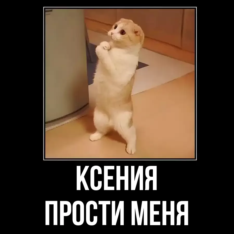 ПРОСТИ МЕНЯ КСЕНИЯ