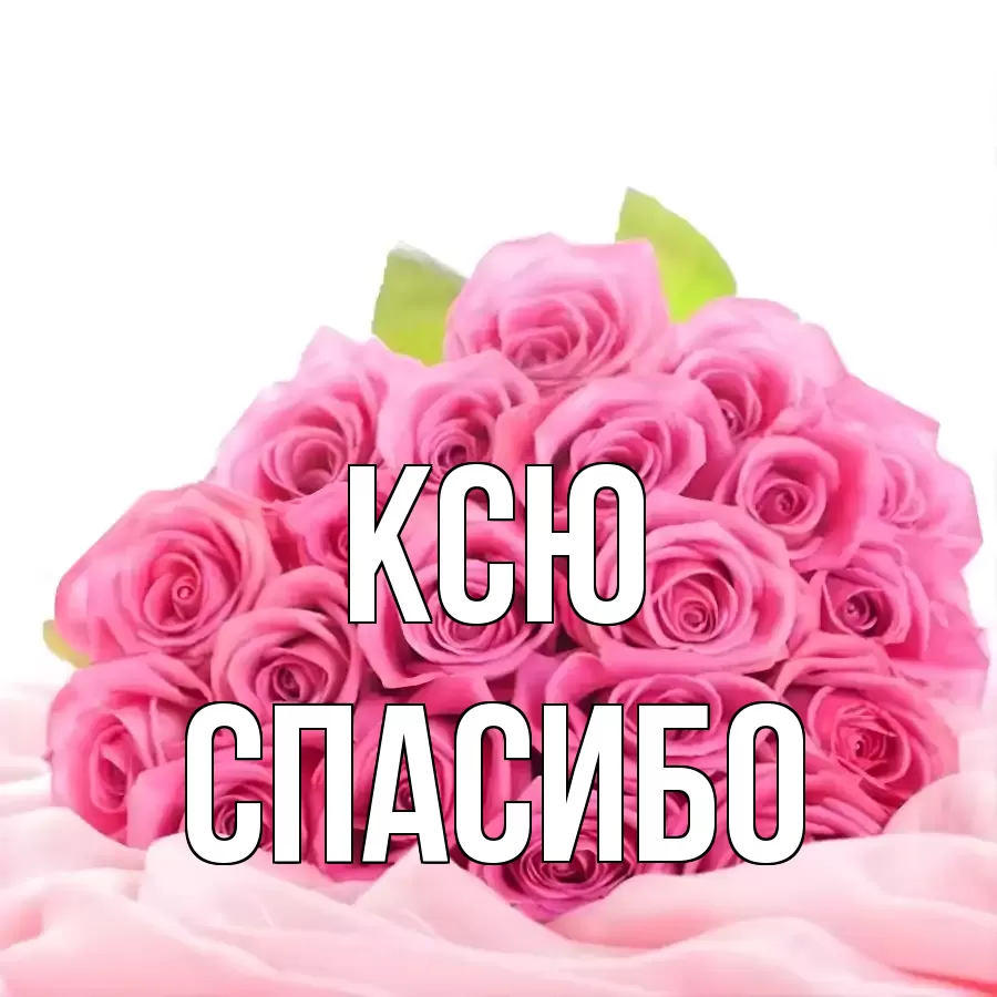 ОТКРЫТКА КСЮ