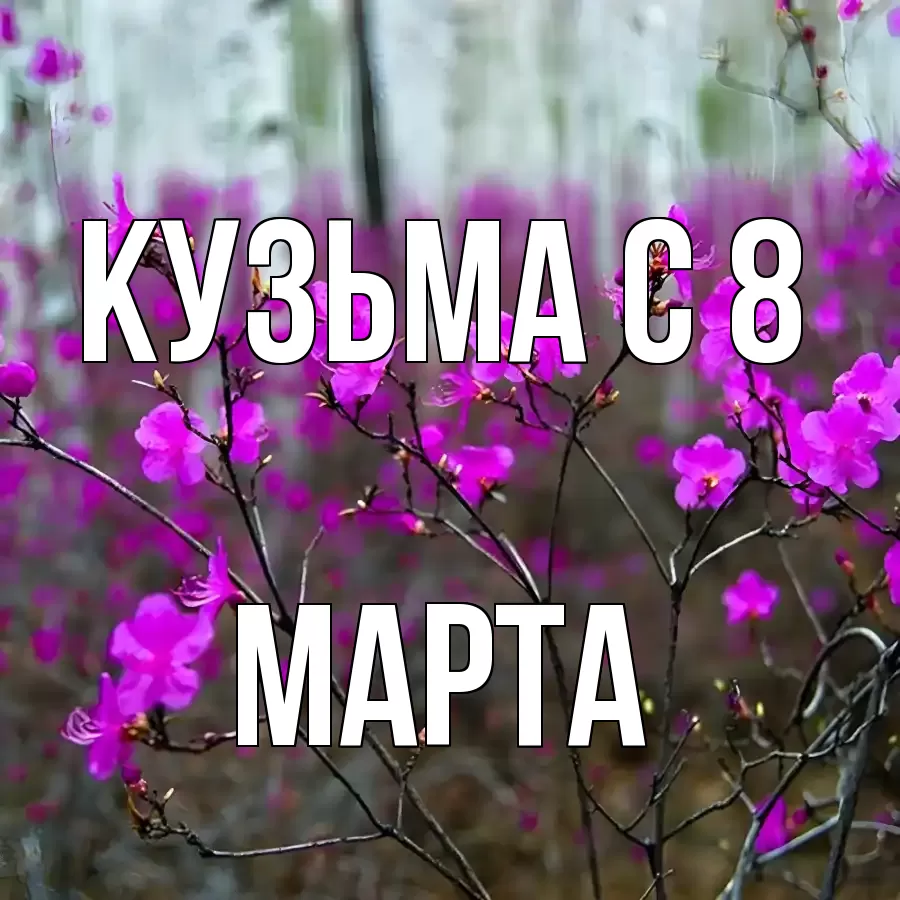 ОТКРЫТКА КУЗЬМА