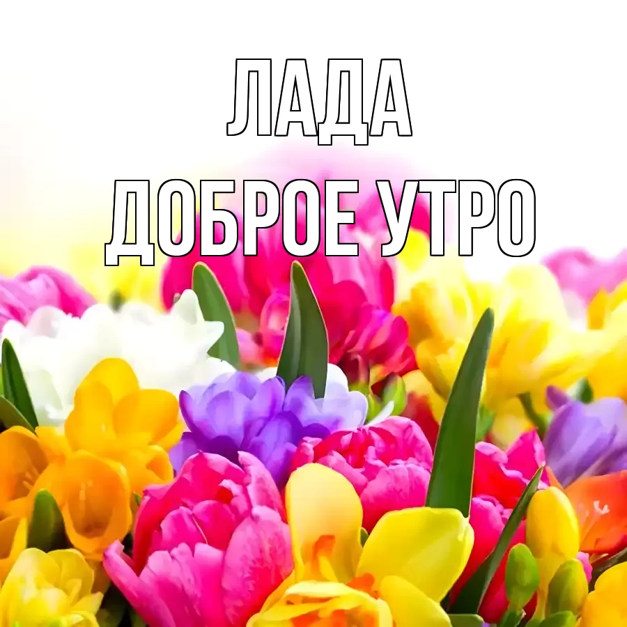 ДОБРОЕ УТРО ЛАДА