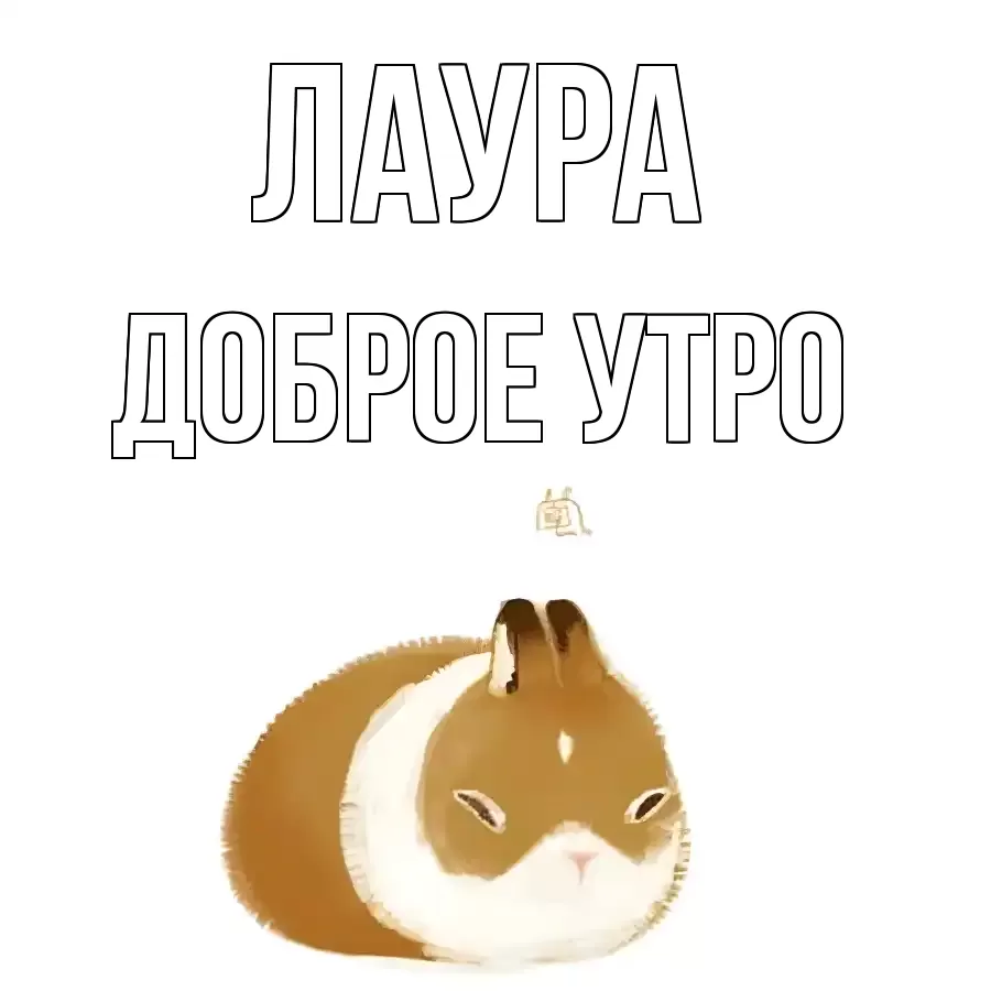 ДОБРОЕ УТРО ЛАУРА