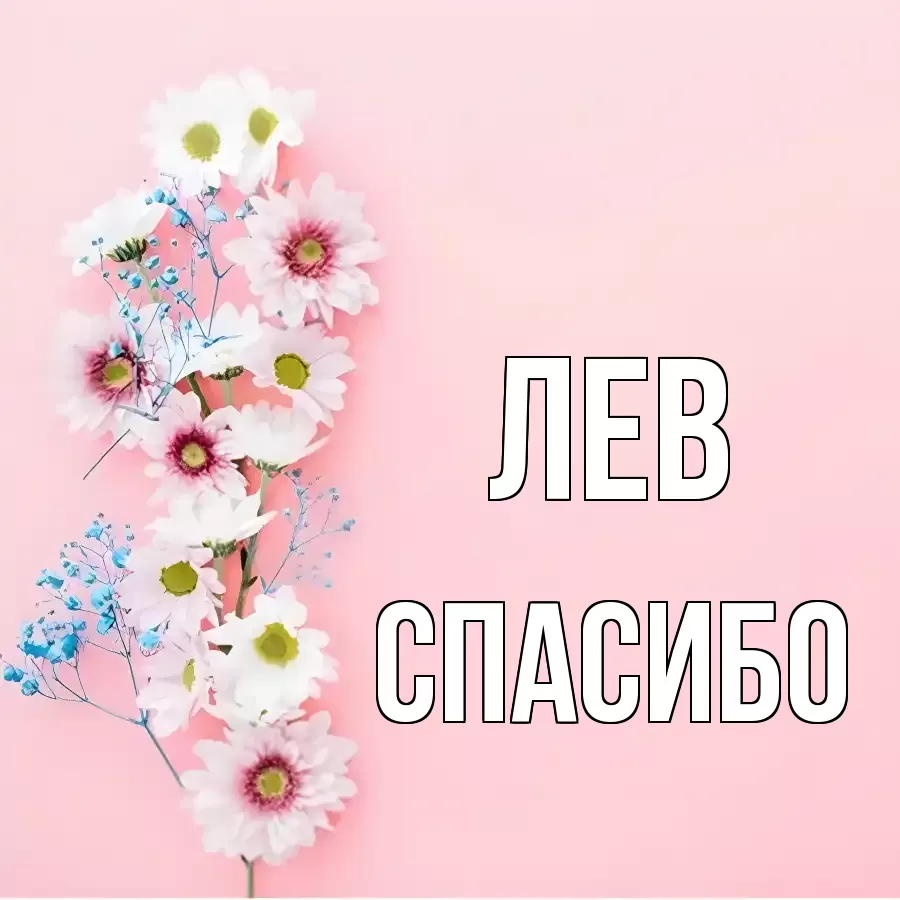 ОТКРЫТКА ЛЕВ