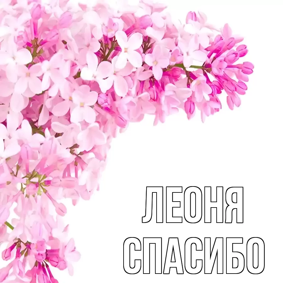 ОТКРЫТКА ЛЕОНЯ