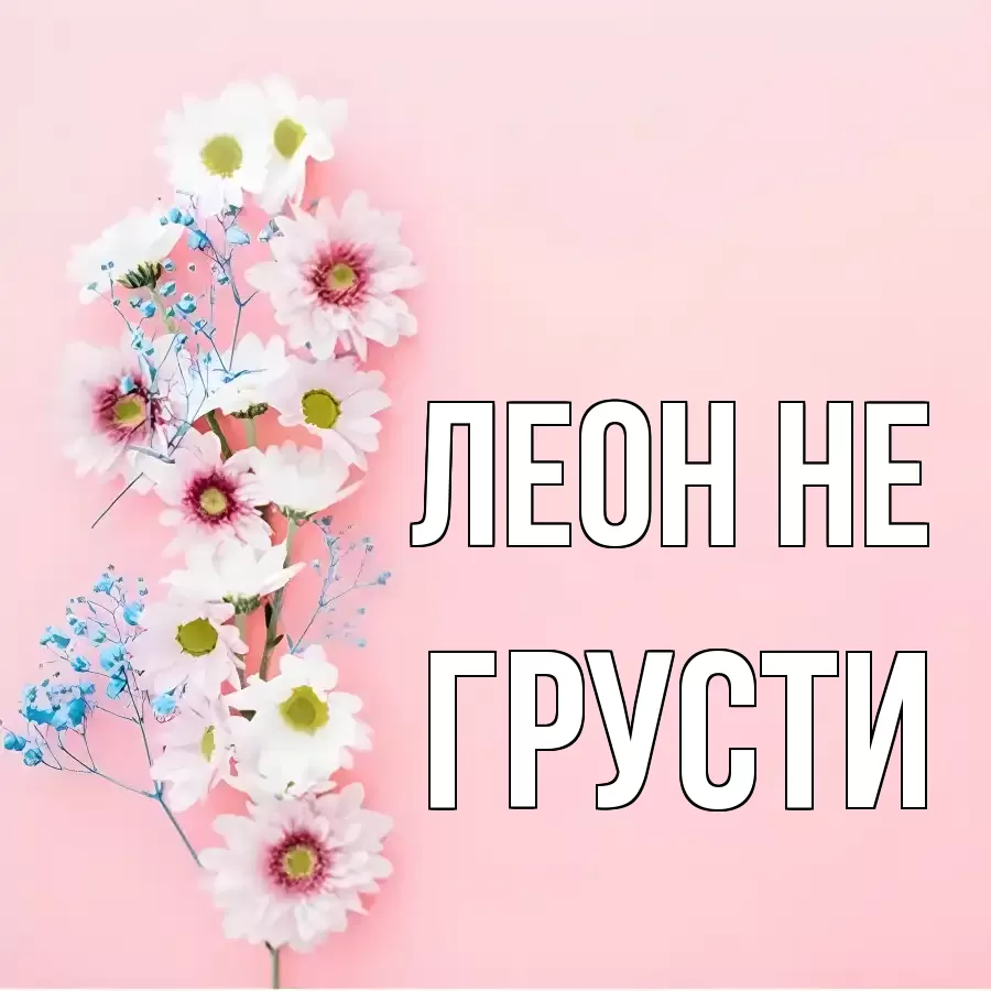 ОТКРЫТКА ЛЕОН