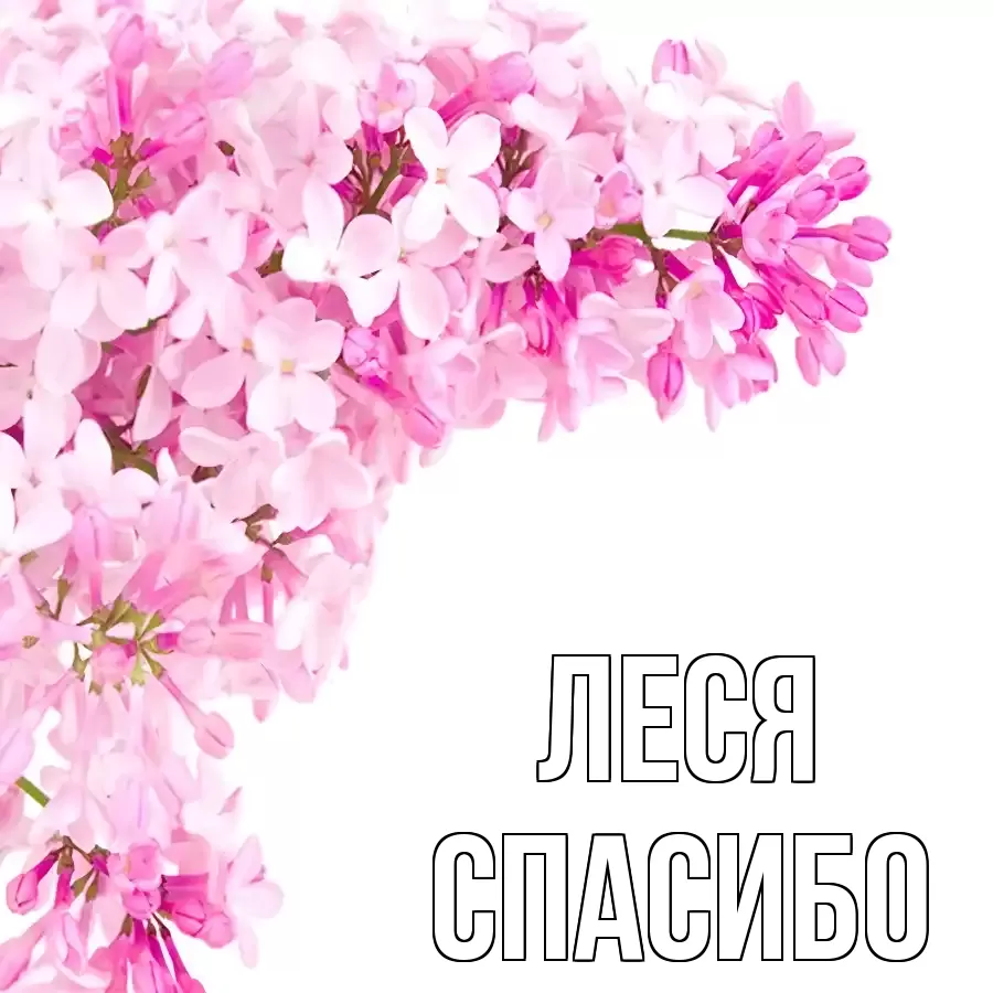 ОТКРЫТКА ЛЕСЯ