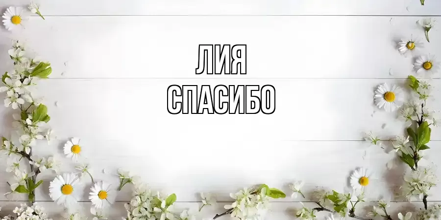 ОТКРЫТКА ЛИЯ