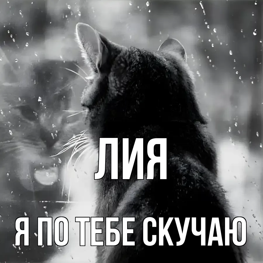 ЛИЯ Я ПО ТЕБЕ СКУЧАЮ