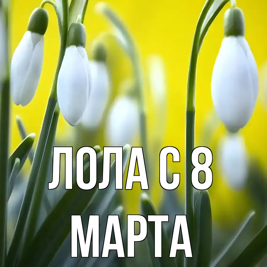 ОТКРЫТКА ЛОЛА