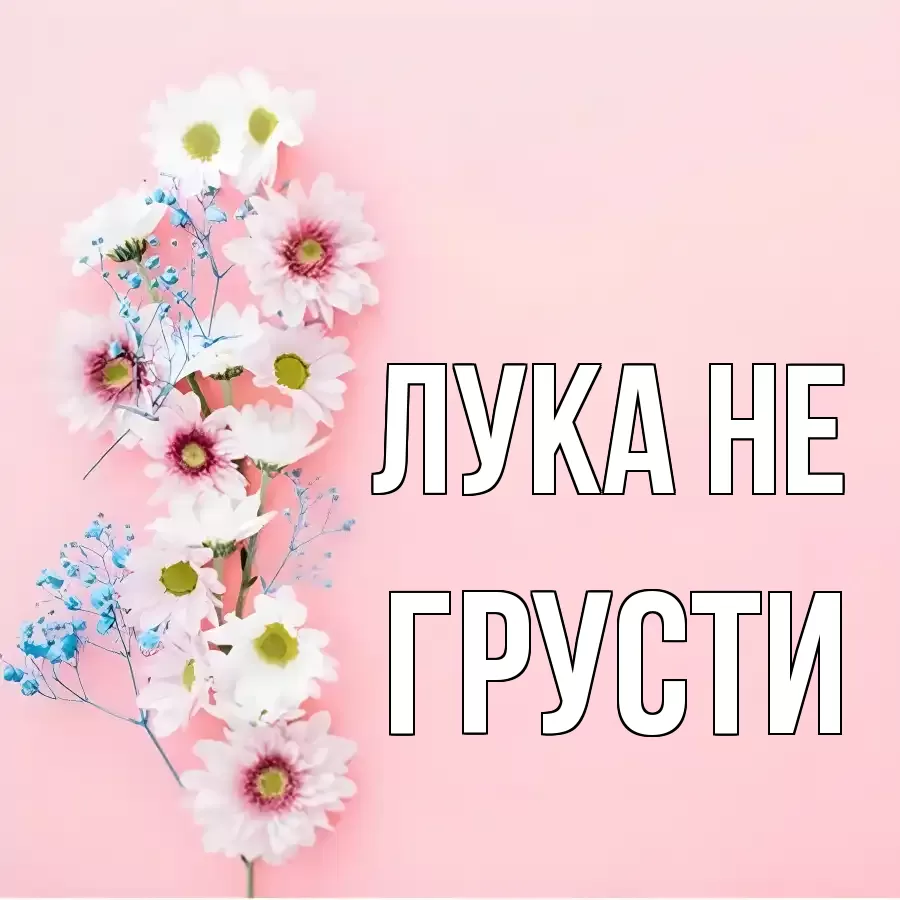 ОТКРЫТКА ЛУКА