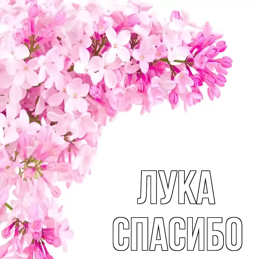 ОТКРЫТКА ЛУКА