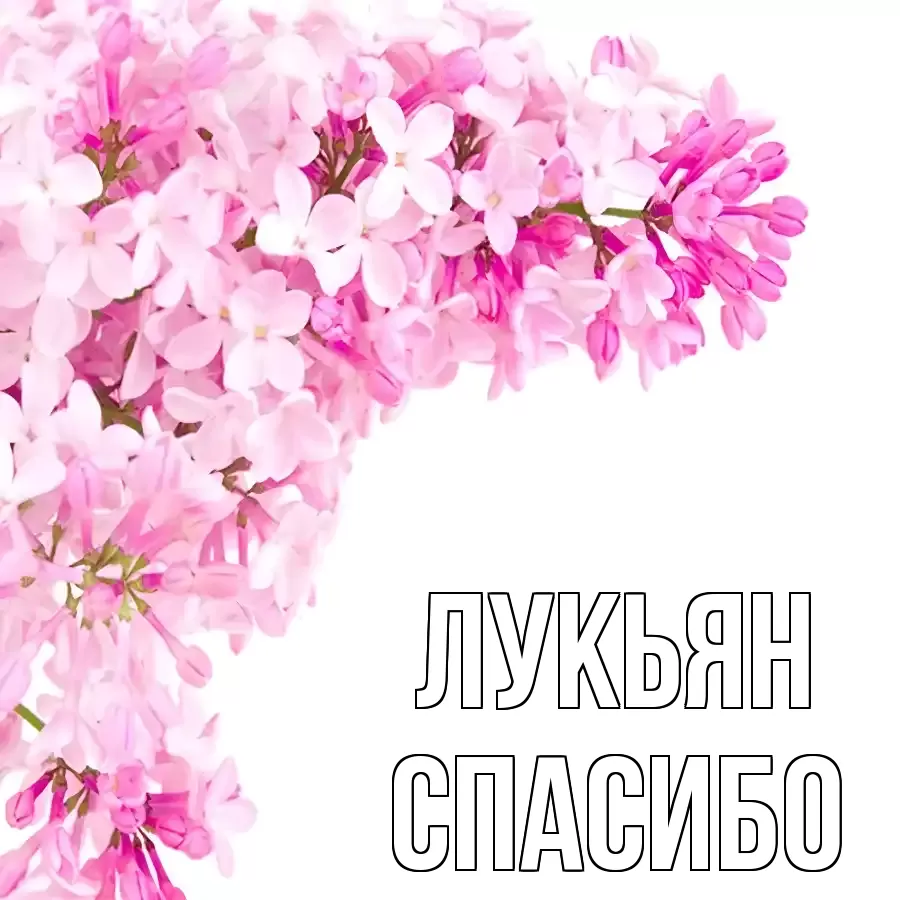 ОТКРЫТКА ЛУКЬЯН