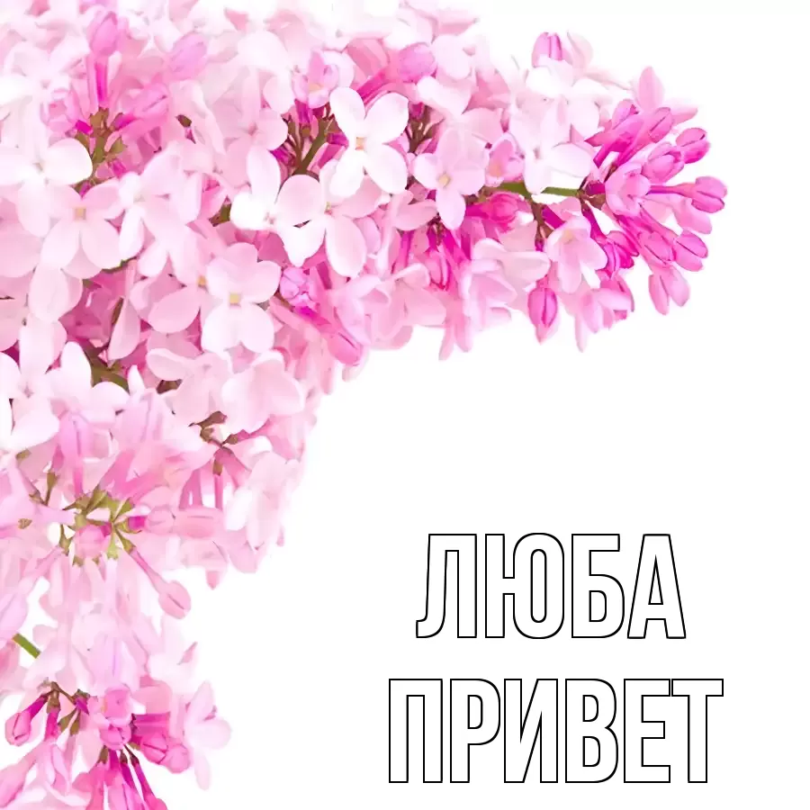 ОТКРЫТКА ЛЮБА