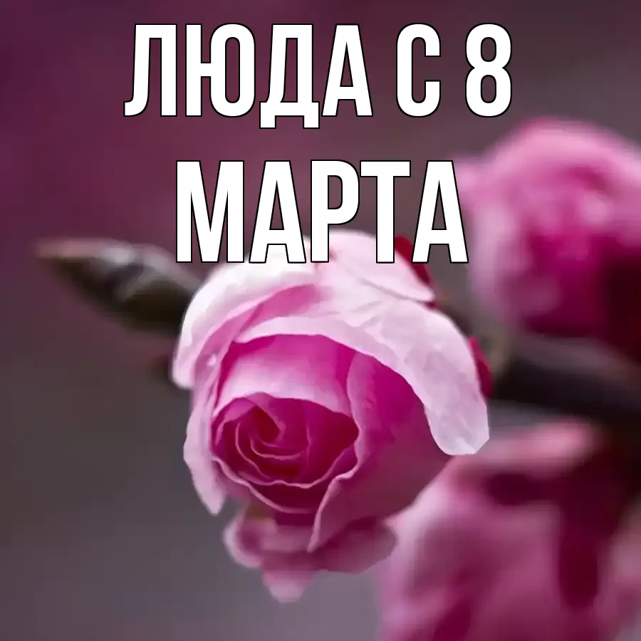 ОТКРЫТКА ЛЮДА