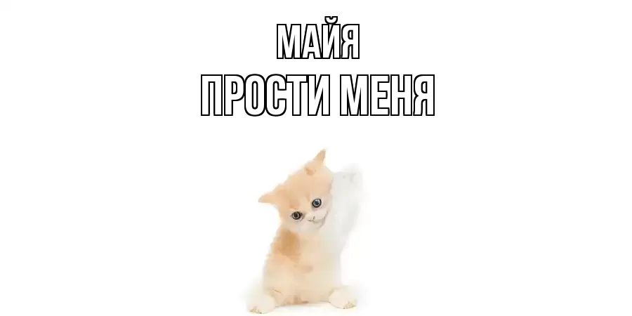 ПРОСТИ МЕНЯ МАЙЯ