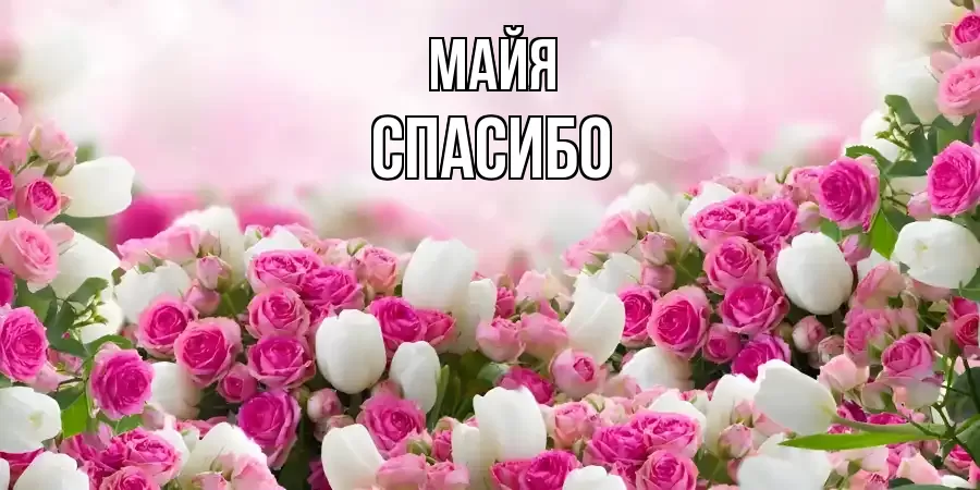 ОТКРЫТКА МАЙЯ