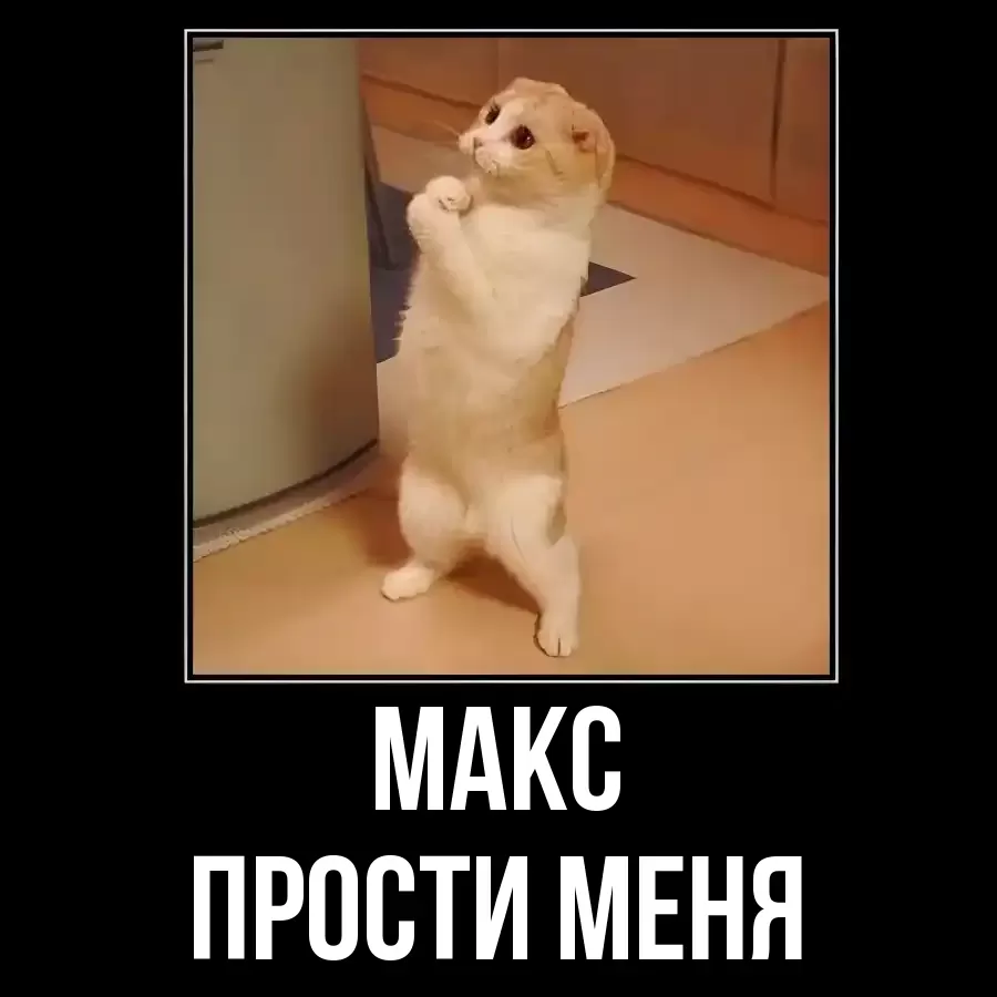 ПРОСТИ МЕНЯ МАКС