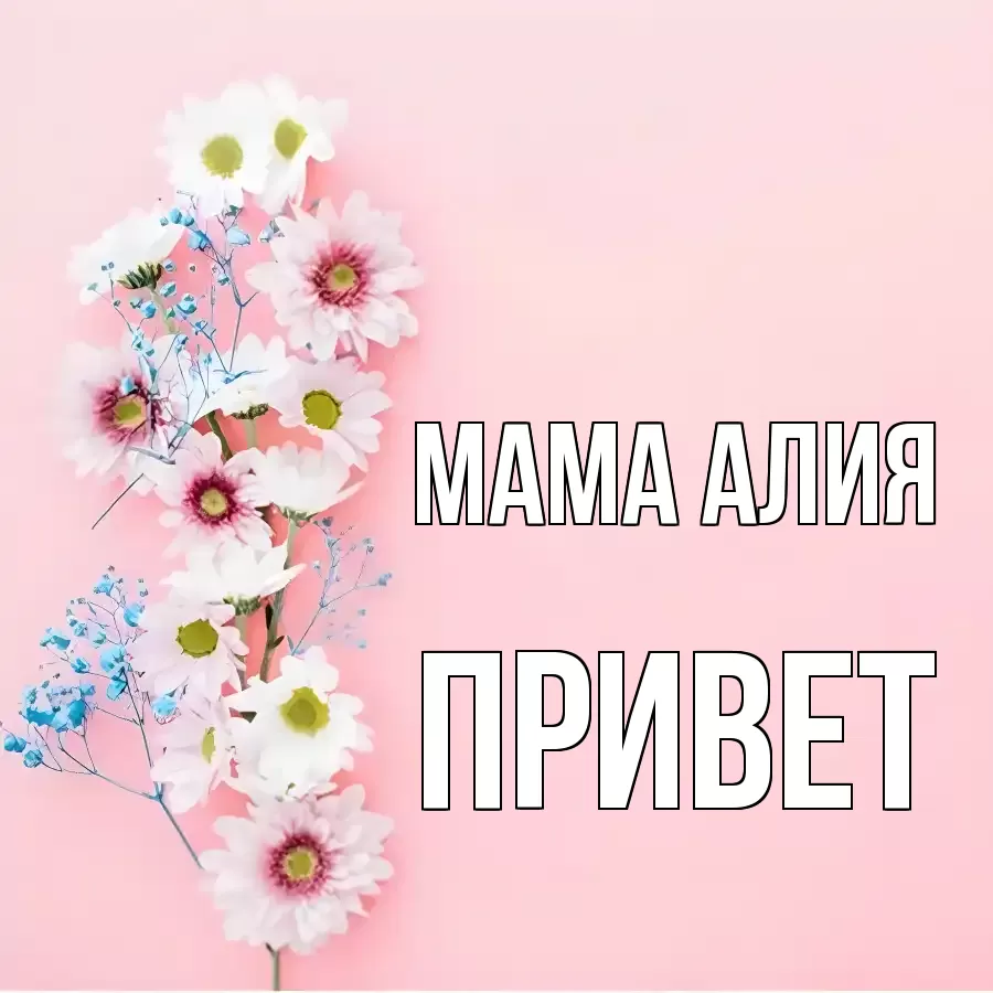 ОТКРЫТКА МАМА-АЛИЯ