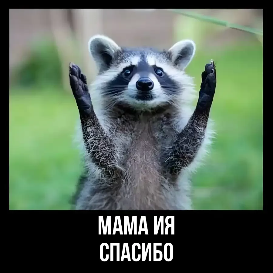 ОТКРЫТКА МАМА-ИЯ