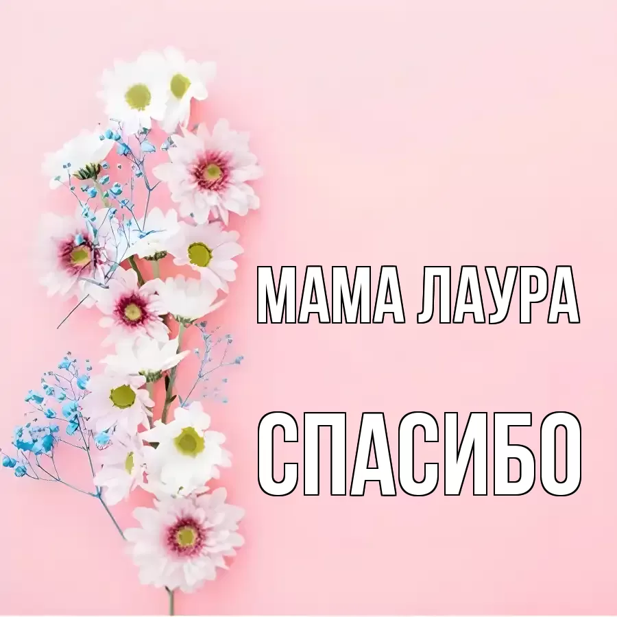 ОТКРЫТКА МАМА-ЛАУРА