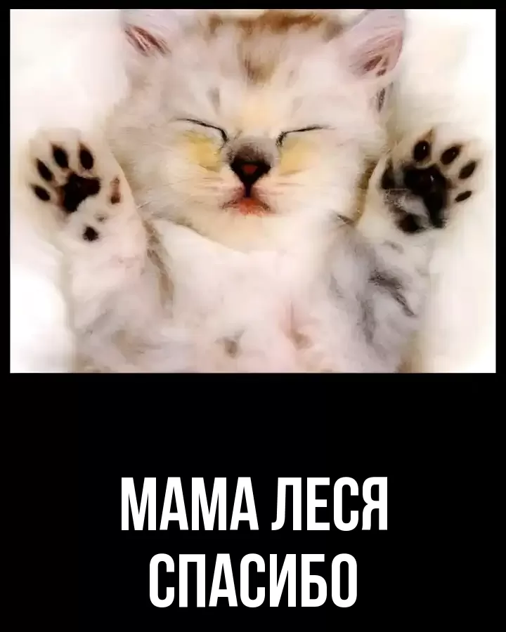 ОТКРЫТКА МАМА-ЛЕСЯ