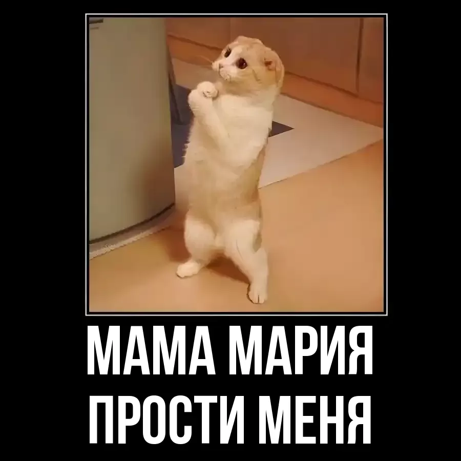 ПРОСТИ МЕНЯ МАМА-МАРИЯ