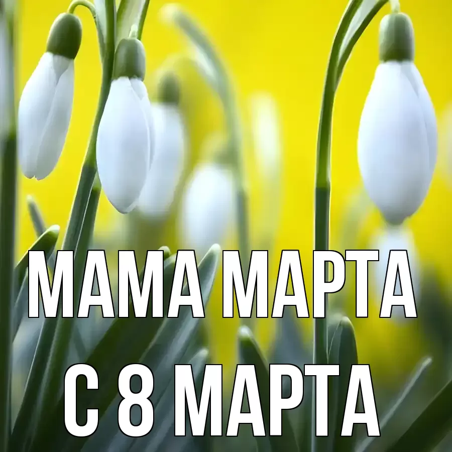 ОТКРЫТКА МАМА-МАРТА