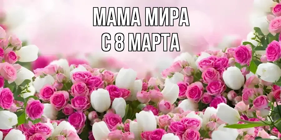 ОТКРЫТКА МАМА-МИРА