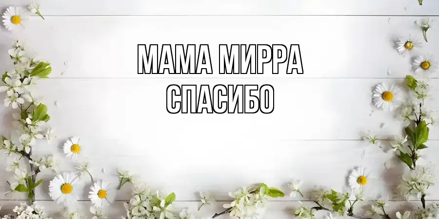 ОТКРЫТКА МАМА-МИРРА
